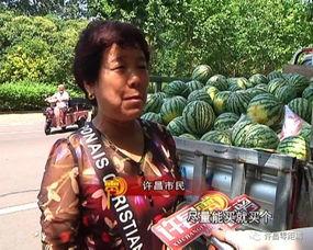 塔城吃瓜群众事件视频播放,网络视频引发的热议与反思