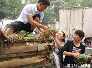 蒙阴县人民吃瓜事件始末