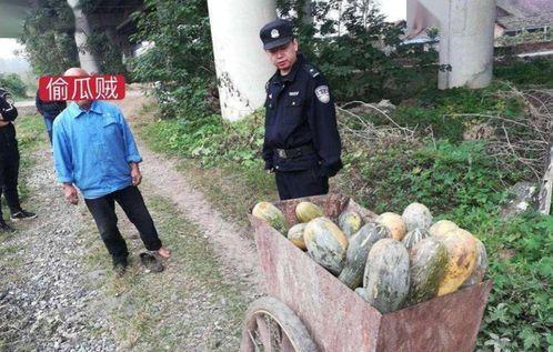 蒙阴县人民吃瓜事件始末