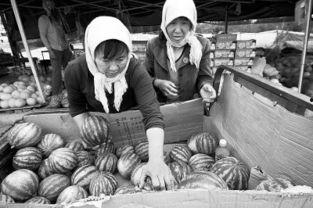 蒙阴县人民吃瓜事件始末