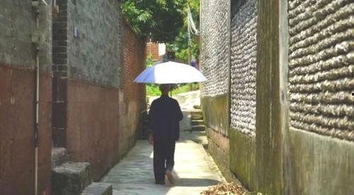 西安碑林区吃瓜事件,一场网络热议背后的真相与反思