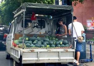 湖南邵阳最近吃瓜事件,揭秘背后真相与网络热议