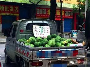 湖南邵阳最近吃瓜事件,揭秘背后真相与网络热议