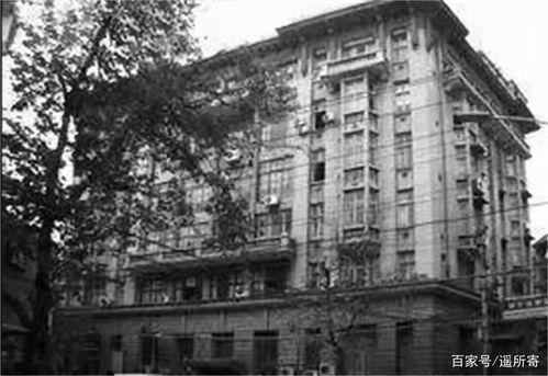 上海二楼吃瓜事件真相,真相与背后的故事