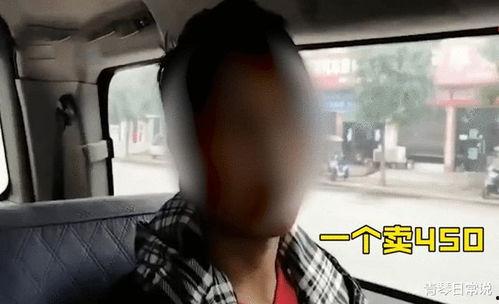 河南南阳吃瓜事件视频播放,一场网络事件的发酵与反思