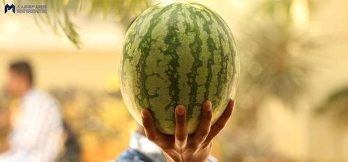 几年前吃瓜事件