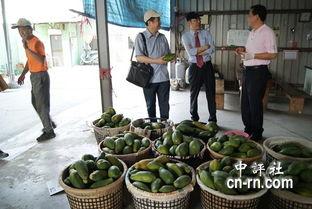 吃瓜事件广州最新消息新闻,真相揭晓，各方反应汇总