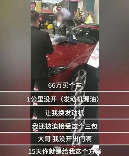 汽车吃瓜大事件,吃瓜大事件揭秘