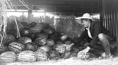 徐州吃瓜群众事件视频回放,一场网络舆论的风波与反思