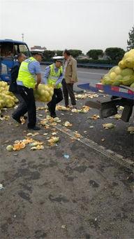 临淄交警吃瓜群众事件,网络舆论下的执法争议与反思