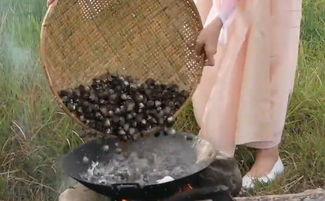 贵阳二小姐吃瓜事件,网络热议背后的真相揭秘