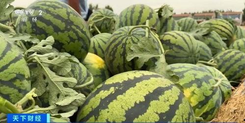 商丘吃瓜中毒事件曝光,揭秘夏日街头食品安全隐患