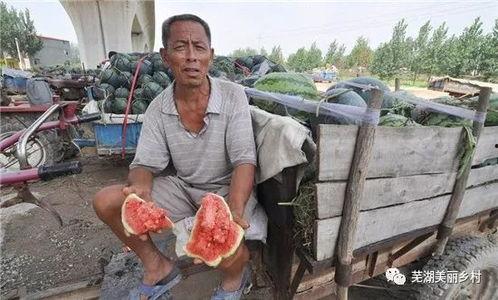 林州市吃瓜最新爆料事件