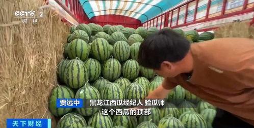 库尔勒吃瓜事件辟谣了吗