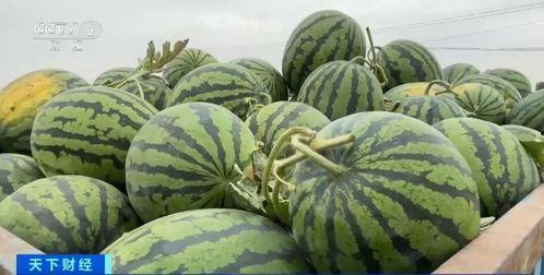 库尔勒吃瓜事件辟谣了吗