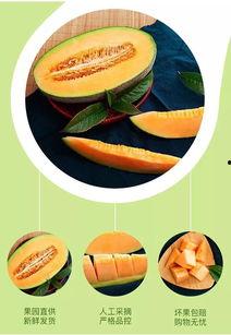 三亚最近吃瓜事件,一场吃瓜引发的社区热议