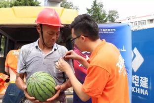 邢台吃瓜群众事件真相,真相揭秘与反思