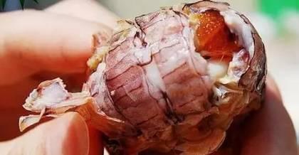 山东吃瓜事件真相,揭秘背后真相与网络舆论的反思