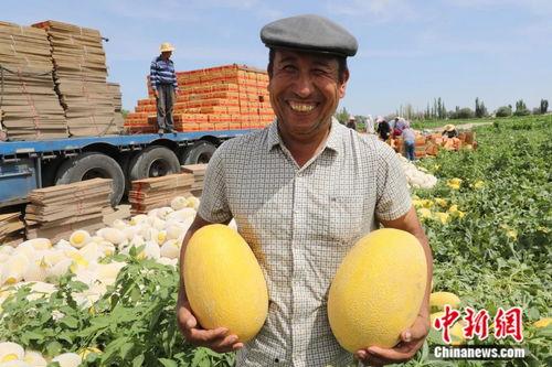 任丘市吃瓜事件最新进展,最新进展揭示惊人内幕