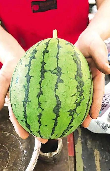 呼和浩特吃瓜事件最近,一场网络热议背后的真相与反思