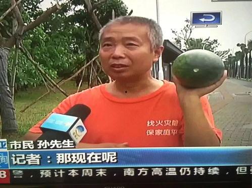 吃瓜网热门事件云南,揭秘近期热门事件背后的真相