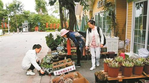 花店老板娘吃瓜事件始末