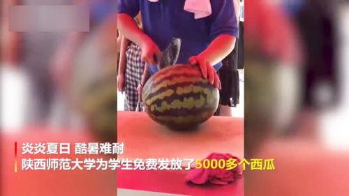 大学老师吃瓜事件真相,真相背后引人深思