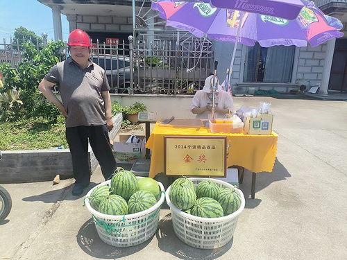 北仑中集吃瓜各种热门事件,瓜田李下，热点事件频出，揭秘背后真相