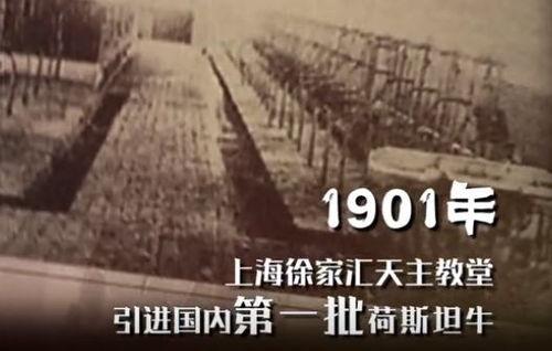 泉兴家园吃瓜事件始末