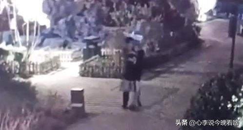 嫩江吃瓜事件视频,一场引发热议的网络狂欢
