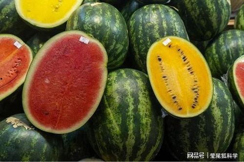 宜春网红吃瓜事件真相